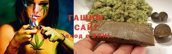 шишки Аркадак