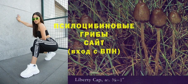 тгк Арсеньев
