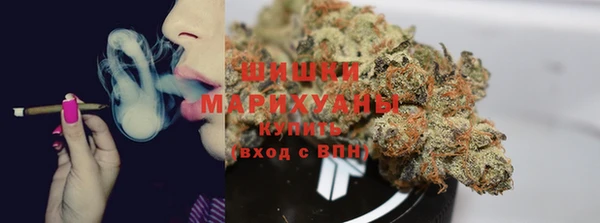 шишки Аркадак