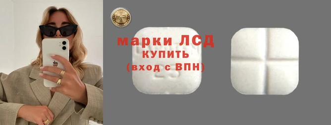шишки Аркадак