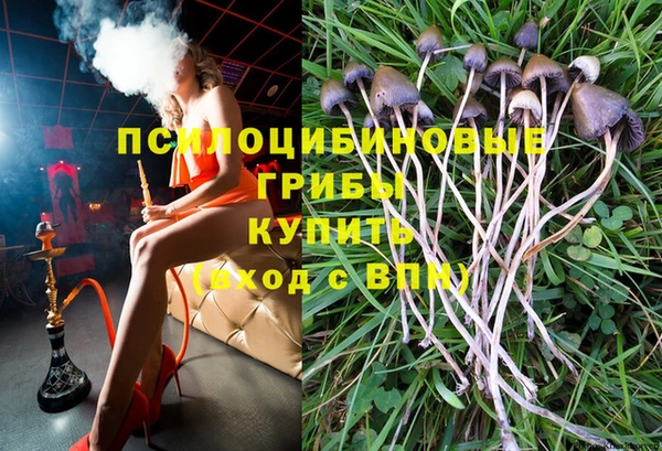 тгк Арсеньев