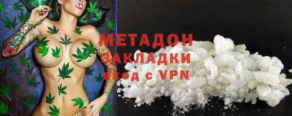 шишки Аркадак