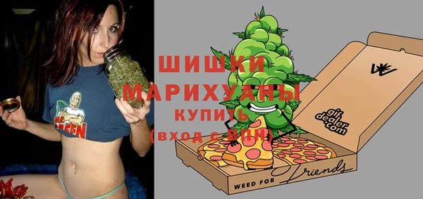шишки Аркадак