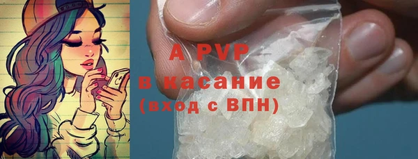 шишки Аркадак