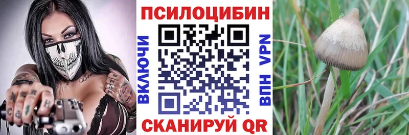Галлюциногенные грибы Cubensis  Иноземцево 